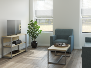 Media Stand and Coffee Table in Lounge Area View